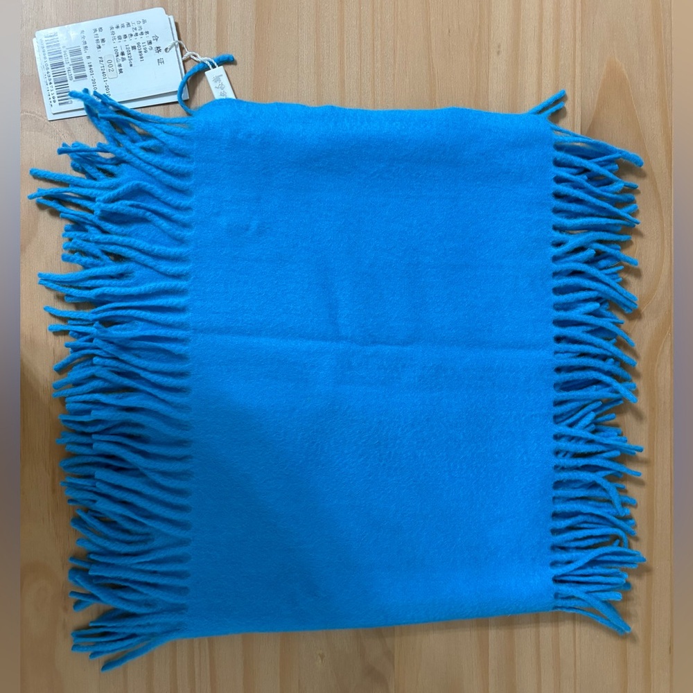 Most Famous Chinese Brand Erdos 100% Pure Cashmere Fringed Scarf in Blue
